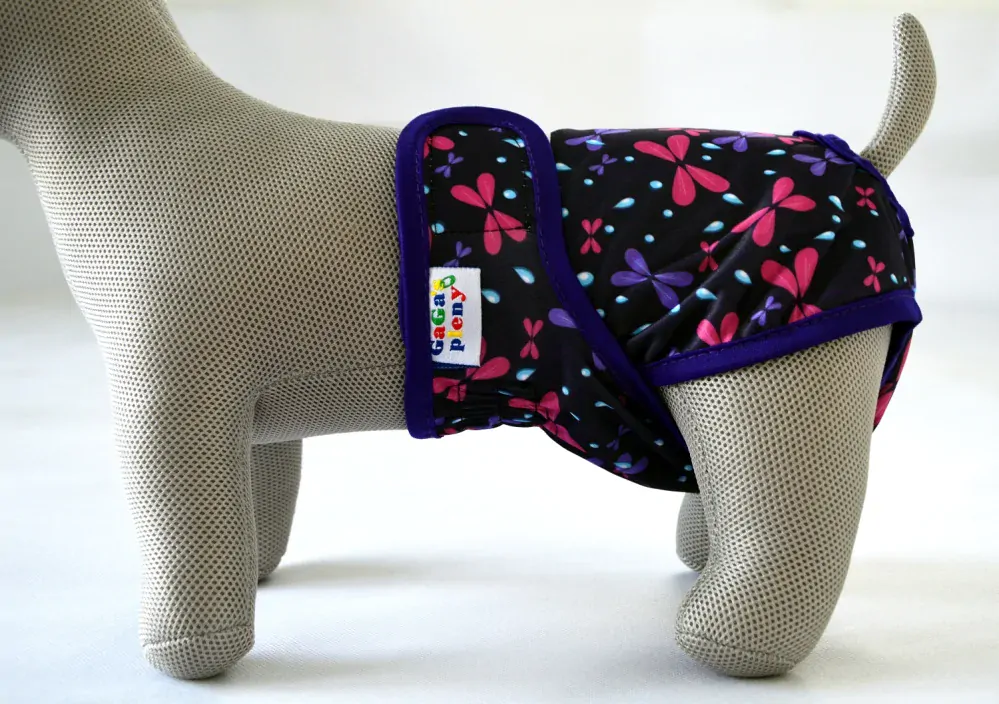 Kalhotky pro psy Motýl M