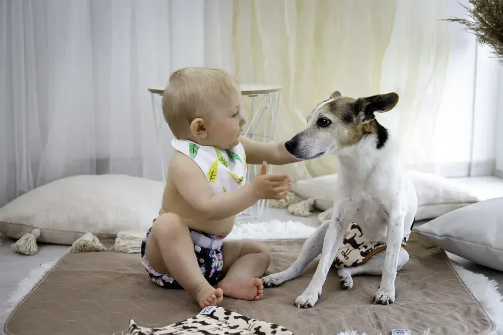 Absorpční podložka pro psy Hnědá L